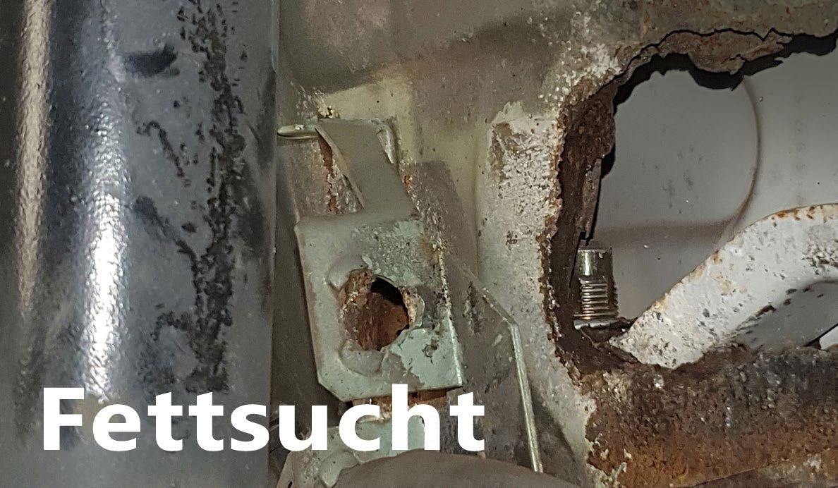 PROMOBIL_2020-11-8 - Fettsucht